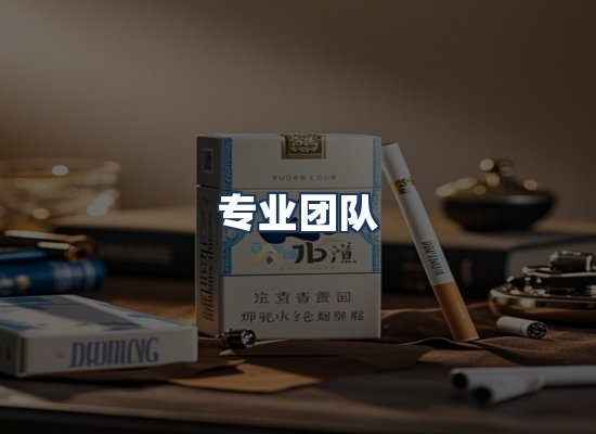 专业团队